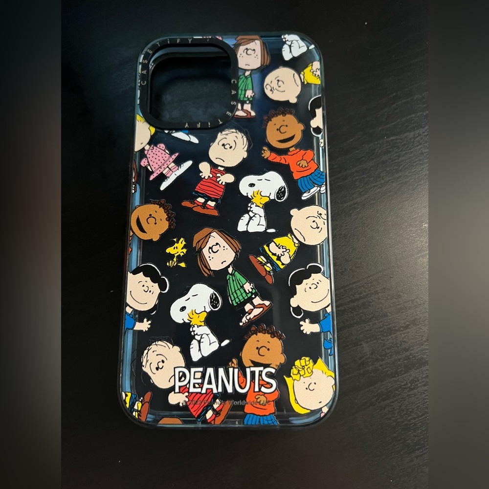 Casetify iPhone 13 Pro Max case.